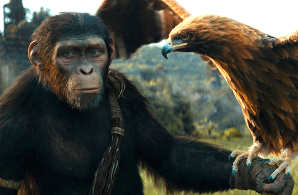 Filme: Planeta dos Macacos: O Reinado