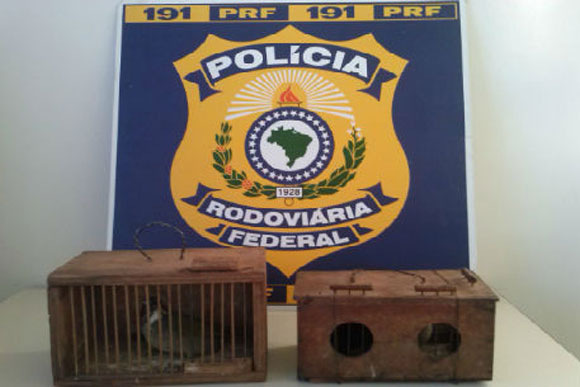 Foto: Homem foi preso na BR-040/Divulgação PRF