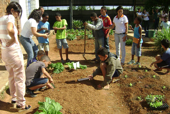Projeto hortas nas escolas / Foto: Divulgação