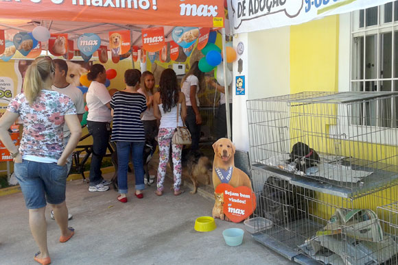 Feira aconteceu no Cat & Dog na Rua Major Campos, no centro / Foto: Marcelo Paiva
