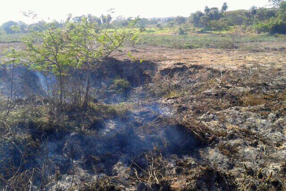 Fumaça na região da Lagoa do Matadouro / Foto: Divulgação Padre Décio