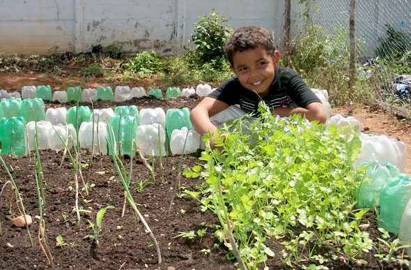 Com projeto escolas podem desenvolver oficinas de horta, por exemplo / Foto ilustrativa: Divulgação