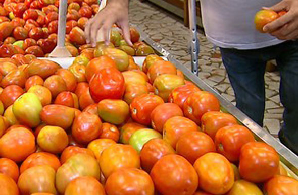  O tomate é um dos principais responsáveis pela alta novamente, que está 11,96% mais caro/Foto: Reprodução/EPTV
