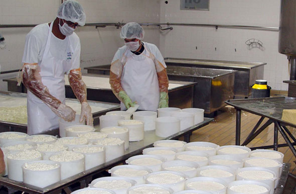 Cinquenta por cento da produção nacional de queijos industrializados e artesanais estão em Minas / Foto: Divulgação / acrissul.com.br