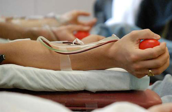 Doação de sangue e medula óssea é tema de APL que será apresentado na Câmara / Foto: Unasp FM