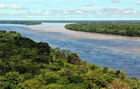 Parte da amazônia brasileira em área próxima a Manaus - Foto: Neil Palmer (Wikipédia)