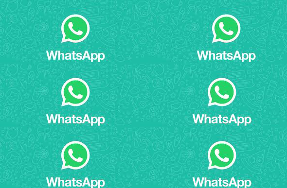 Whatsapp revela preferências de brasileiros/Foto: Divulgação