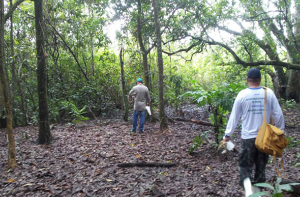 Morte de macaco em Sete Lagoas está sendo investigada pela Secretaria de Estado de Saúde / Foto ilustrativa: Reprodução/Costa Leste News