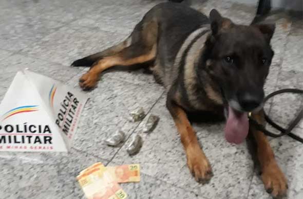 Yoná encontrou drogas e outros materiais escondidos em Sete Lagoas/ Foto: 19ª RPM
