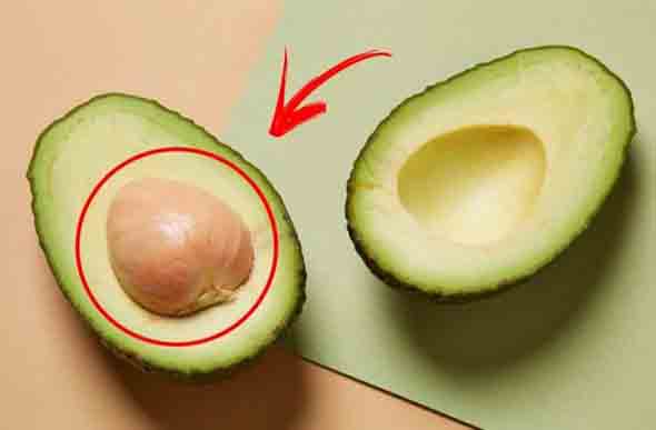 O caroço do abacate é capaz de remover a dor nos ossos