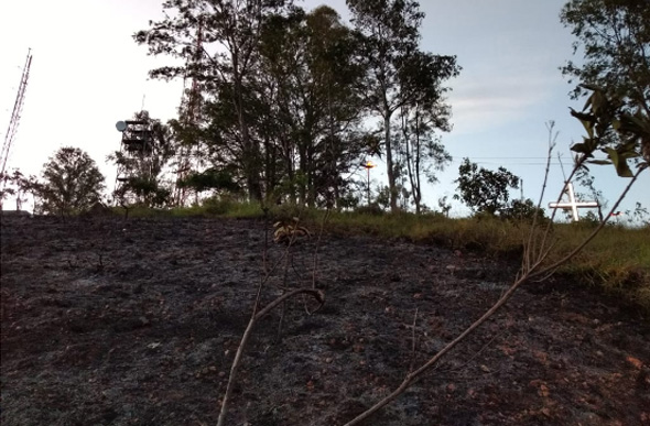 As chamas destruíram parte da vegetação/ Foto: Brigada Serra de Santa Helena