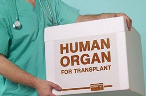 Em 2018, 2.142 transplantes foram realizados, segundo MG Transplantes/ Foto ilustrativa: Reprodução Internet 