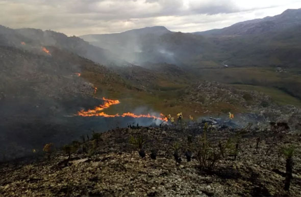 Incêndio interrompe atividades no Parque Nacional da Serra do Cipó — Foto: Reprodução/Corpo de Bombeiros