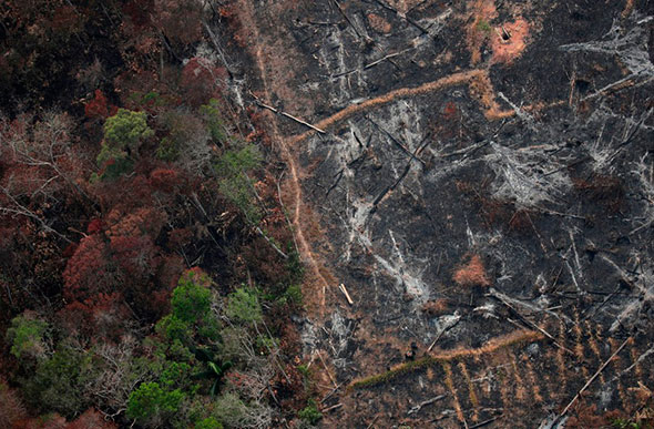 Foto aérea mostra uma parcela desmatada da Amazônia perto de Porto Velho — Foto: Ueslei Marcelino/Reuters