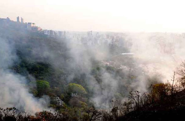 Cortina de fumaça cobre o Bairro Buritis, em BH, onde um incêndio de grandes proporções em uma mata assustou os moradores — Foto: Ramon Lisboa/EM/D.A Press