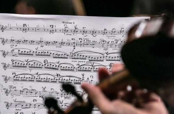 Música clássica para levar alento ao público em tempos de quarentena - Foto: Paulo Lacerda/Divulgação