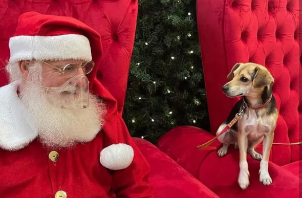 Pipoca e o Papai Noel — Foto: Shopping Del Rey/redes sociais