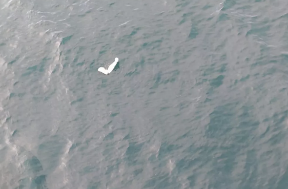 Poltrona que seria de avião bimotor que caiu no mar na região de Ubatuba — Foto: Divulgação