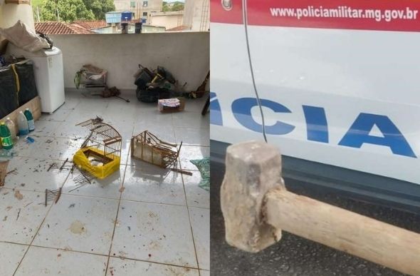 Suspeito quebrou gaiolas e matou cão com marreta. - Foto: Polícia Militar / Divulgação