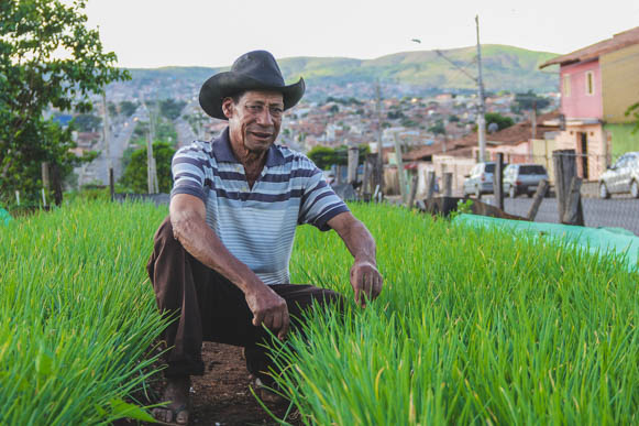 O aposentado Jair Nascimento Silva trabalha há 21 anos no Projeto de Hortas Comunitárias de Sete Lagoas - MG. Foto: Alan Junio  
