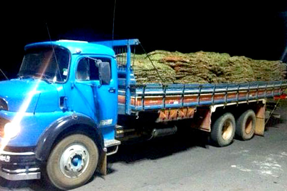 Um dos caminhões apreendidos pela Polícia / Foto: Divulgação PRF 