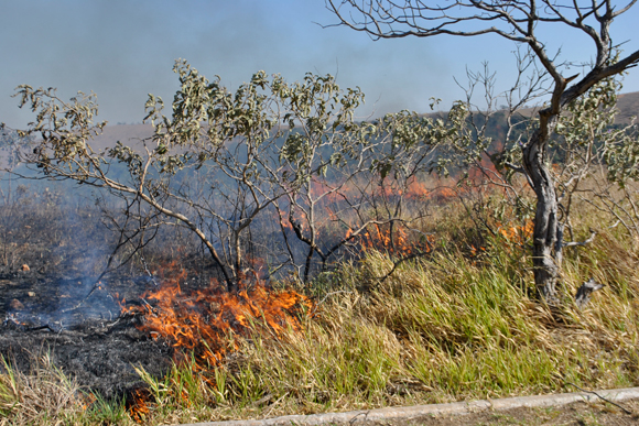 Incêndio na Serra de Santa Helena em agosto de 2012 / Foto: Marcelo Paiva