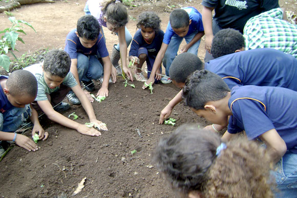 Crianças se envolvem com tarefas na horta / Foto: Divulgação
