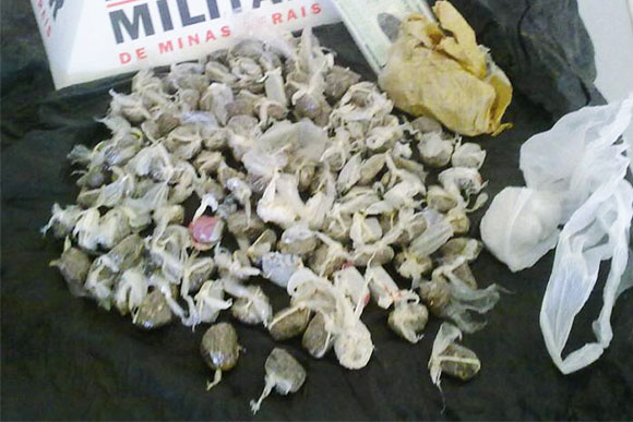 Foram apreendidos 80 pedras de crack / Foto Ilustrativa: policianolocal.blgspot.com