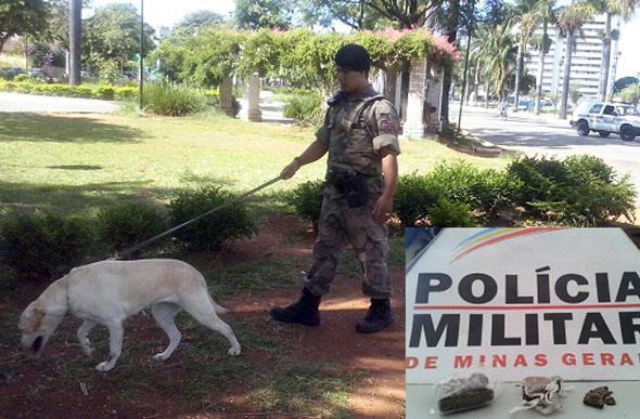 Cão farejador auxilia na apreensão de drogas / Foto: Divulgação