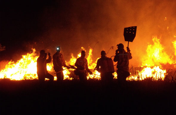 Os profissionais vão atuar na prevenção, monitoramento e combate aos incêndios florestais / Foto: icmbio.gov.br