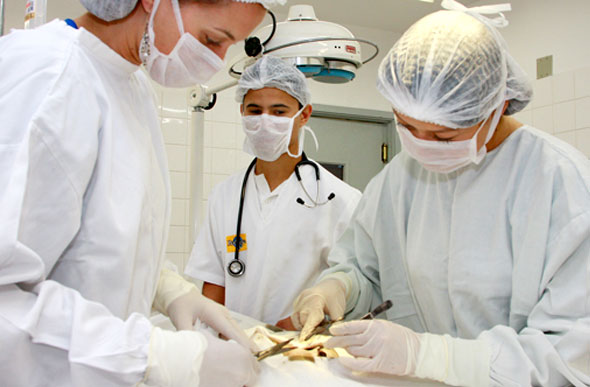 Procedimento cirúrgico / Foto Ilustrativa: imagens.usp.br