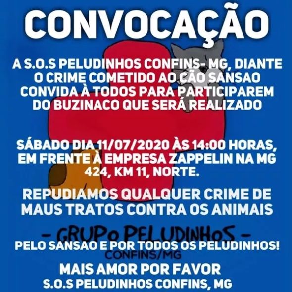 Buzinaço será feito por Sansão no sábado (18) — Foto: SOS Peludinhos Confins/Divulgação