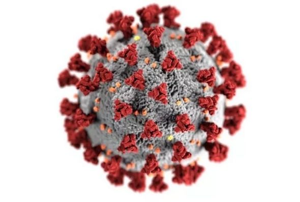 Minas confirma o primeiro caso de reinfecção por coronavírus nesta terça-feira (2) — Foto: Getty Images via BBC