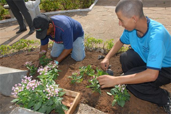 Moradora da Fazenda Velha oferece oportunidade de trabalho para caseiro ou jardineiro