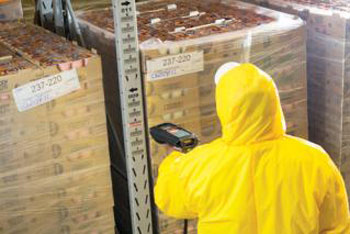 Foto: www.revistaviverbrasil.com.br