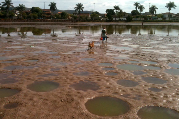 Era necessário uma licença antes da drenagem da lagoa / Foto: Marcelo Paiva
