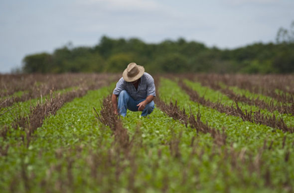 Dia do engenheiro agrônomo/ Foto: ambienteconstrucao.com