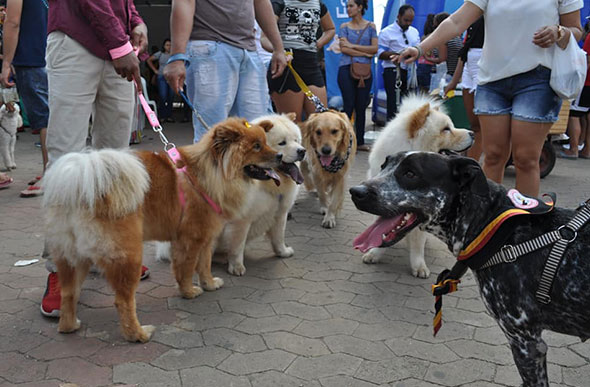 Foto: Divulgação Aspa7