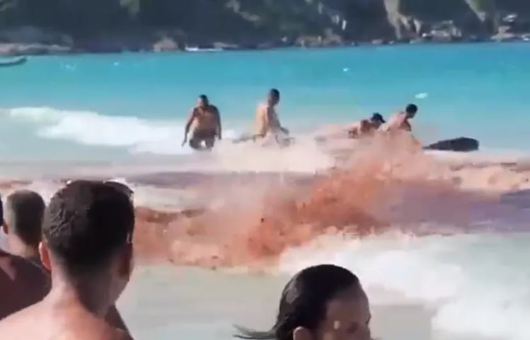 Foto: Reprodução Internet/Redes Sociais