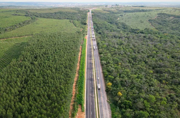 Foto: Eco-135/Divulgação