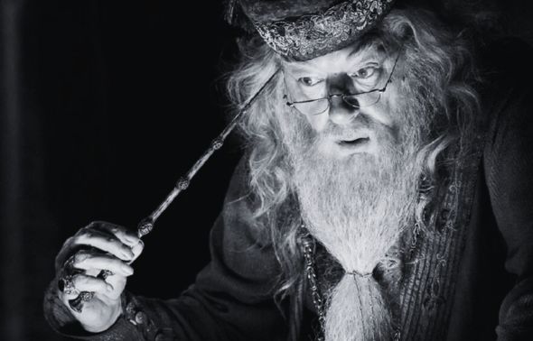 Imagem: Reprodução/ Harry Potter