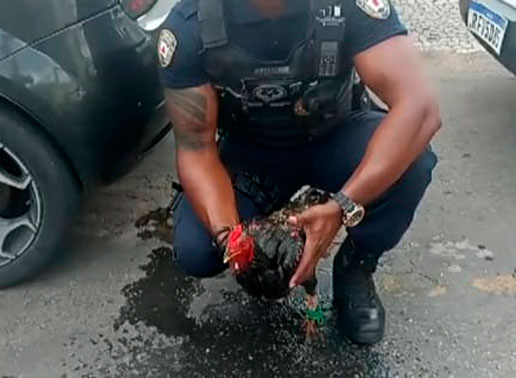 Foto: Reprodução/ Vídeo/ Redes Sociais 