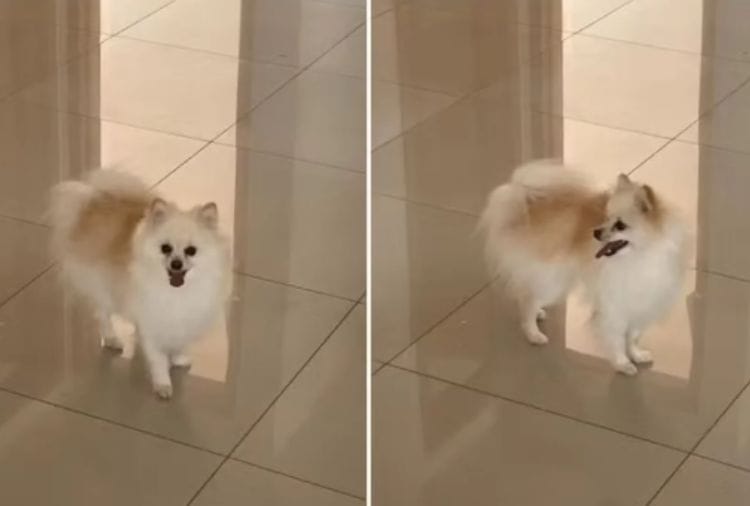 Arquivo pessoal da família