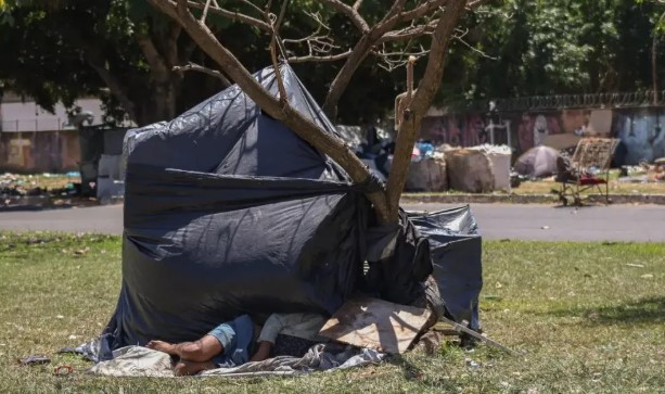 O levantamento foi feito com base nos dados do Cadastro Único de Programas Sociais (CadÚnico)/Foto: Agência Brasil