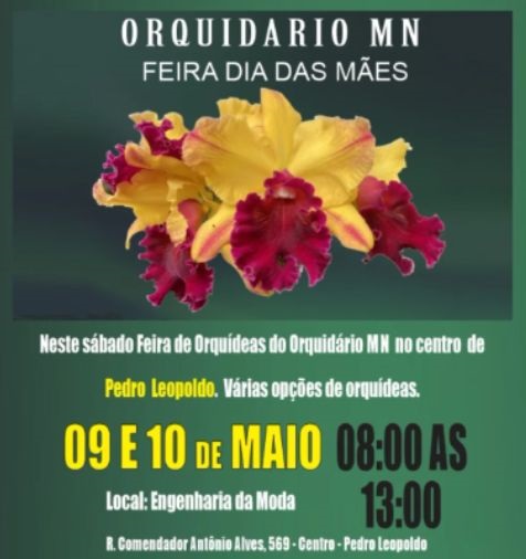 Feira de Orquídeas especial de Dia das Mães em Pedro Leopoldo
