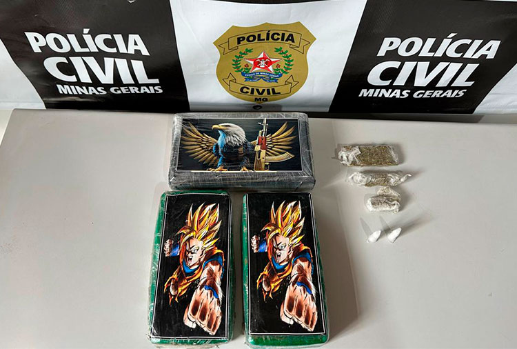 Droga estava em carro dentro do pátio credenciado / Foto: Polícia Civil / divulgação